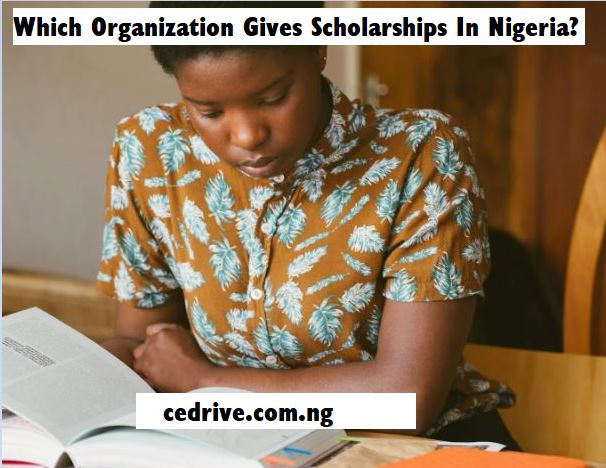 Which Organization Gives Scholarships In Nigeria Which Organization Gives Scholarships In Nigeria