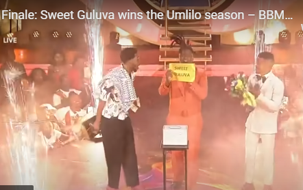 Sweet Guluva Big Brother